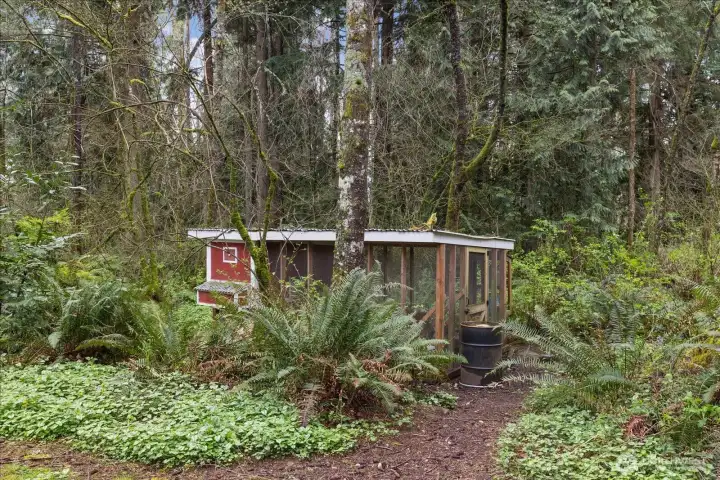 Wooded setting with an established coop area, creating a private and functional space for animals or hobby use.