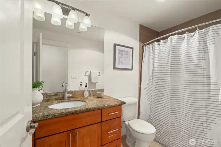 Guest bathroom