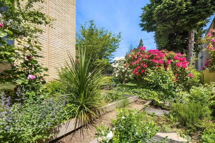 A mini oasis in the heart of the city.