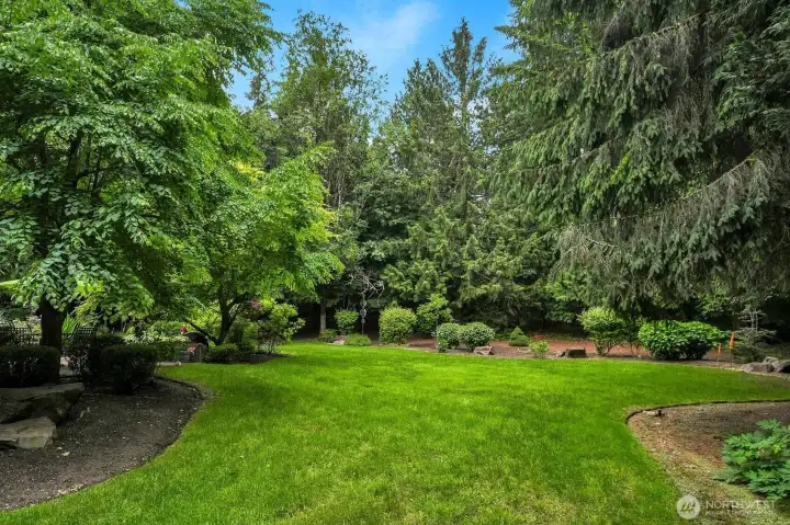 Huge lawn area for games, pets or maybe a Big Toy playset?