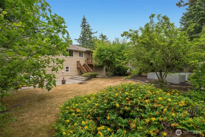 Mature landscaping with various flowers, fruit trees and garden space