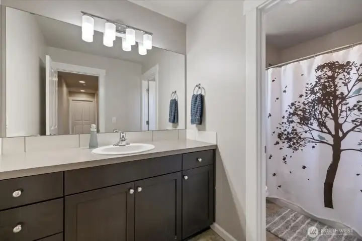 Guest full bathroom
