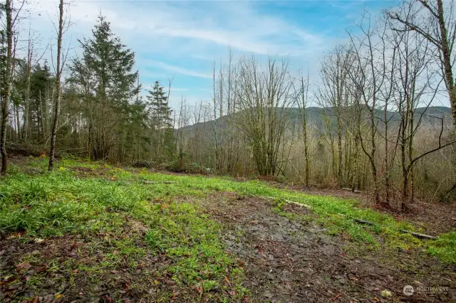 Potential building site behind wood sheds