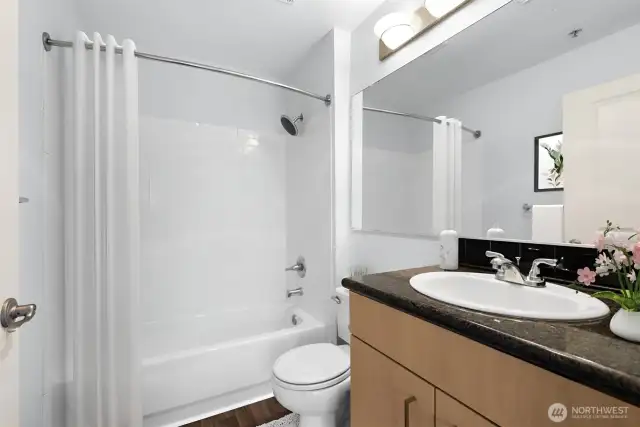 Primary bath with bathtub. Like the tandem parking space, a downtown condo with 2 bathtubs is another rare find!