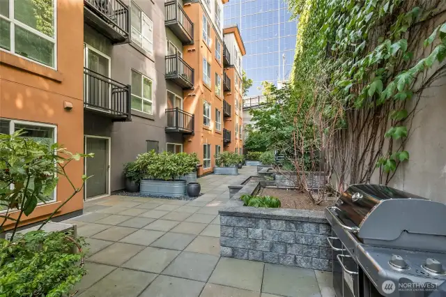 Garden courtyard with communal BBQs and lush greenery in a peaceful setting