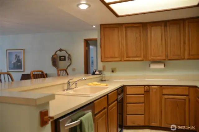 Porcelin sink