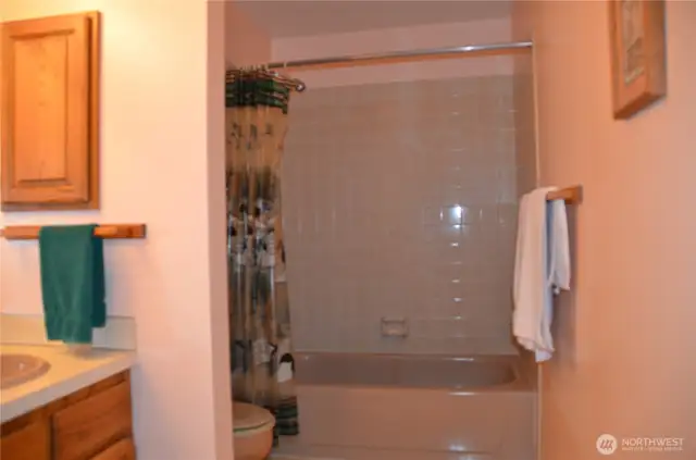 Second bedroom bathroom