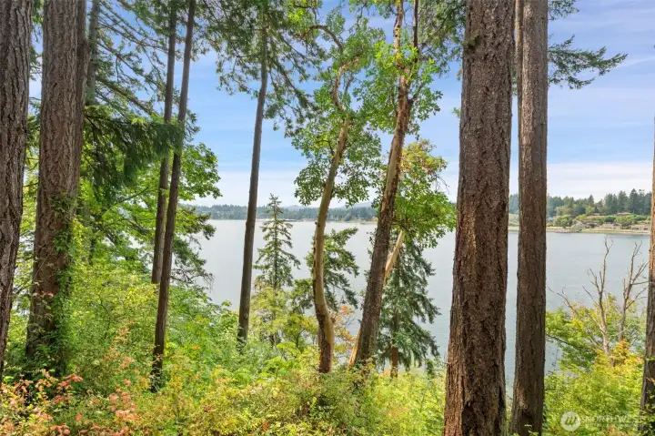 Water views from just about anywhere on the property.