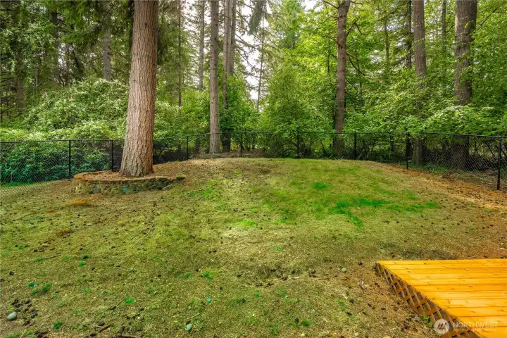 Backyard-Spring potential (picture includes green coloring of grass)