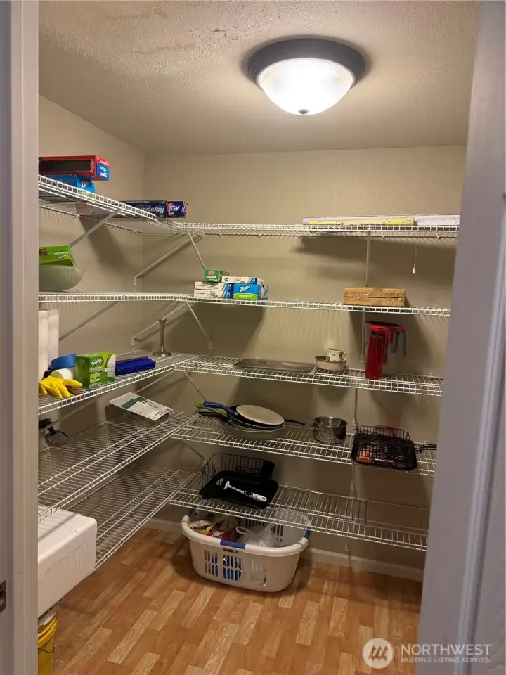 Yes, there is a big walk in pantry.  Not always easy to find!