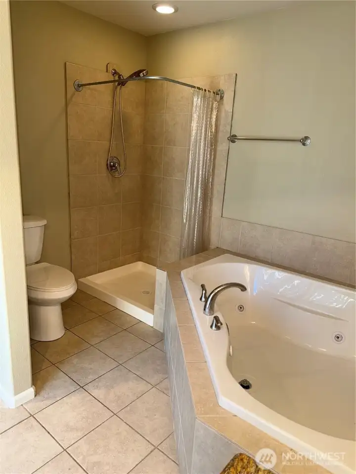 Shower and jetted tub in primary ensuite.