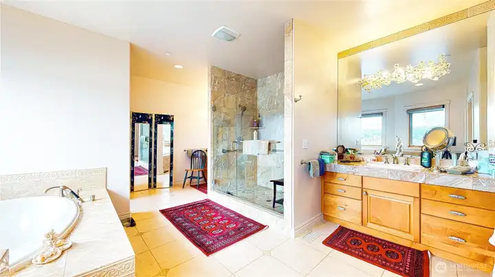 Master Bathroom pic 2