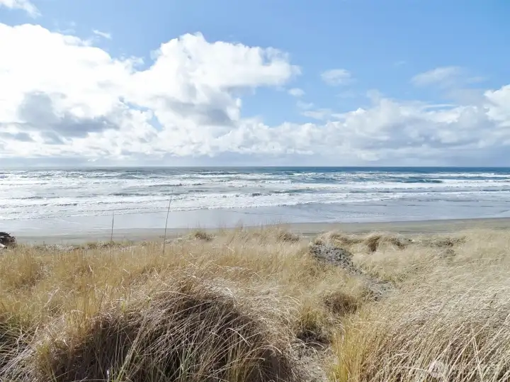 The Dunes behind the property before the actual Beach.