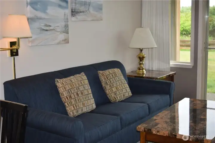 Cozy living area has queen sized sofa sleeper so there is room for everybody.