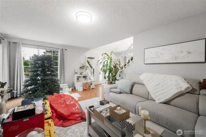 Living Room facing the entry and front of the house -- plenty of natural lighting!