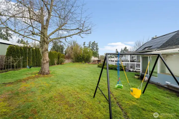 Massive back yard includes fruit trees and garden space!