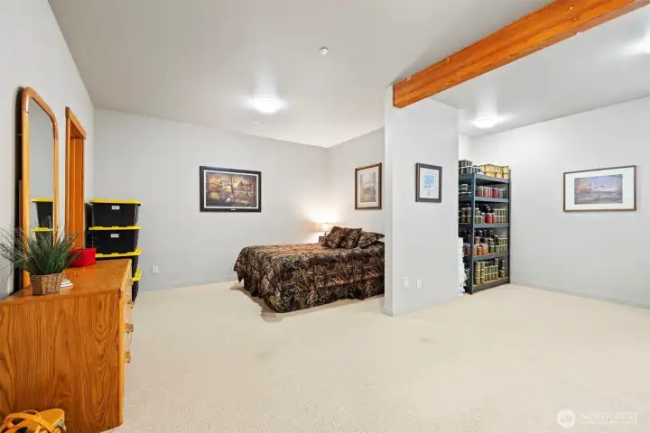 There is a very large bedroom in the lower level that could be two beds or an office and bedroom space.