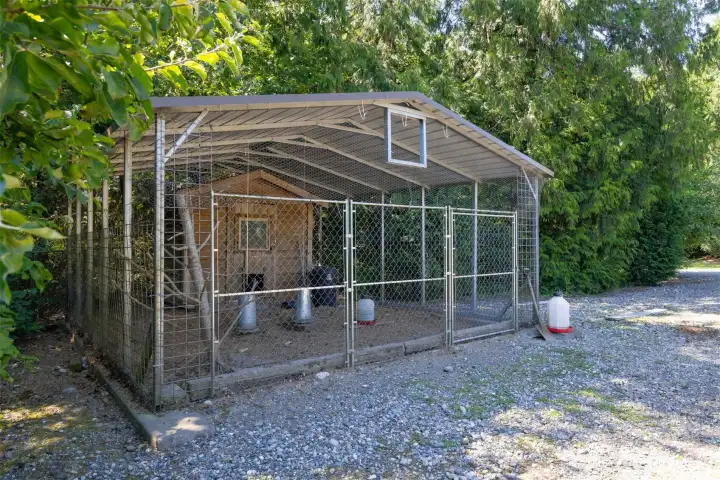 The chicken coop is more like a chicken house...it is huge and fancy!