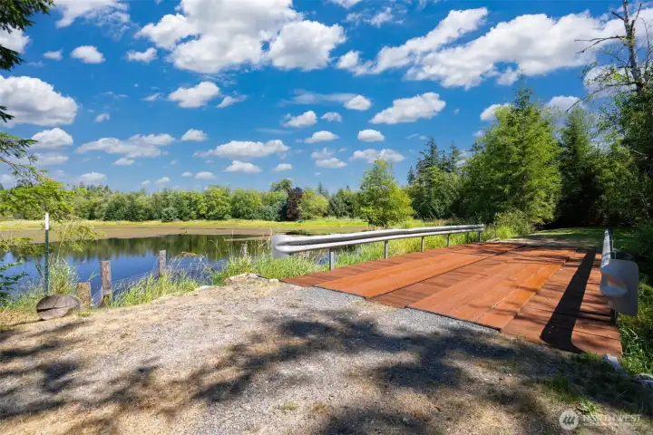There is a bridge that is over Haynie Creek and ideal for watching the salmon.