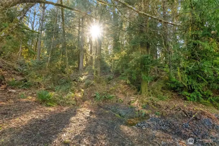 The gentle slope of the terrain is a designer’s dream, offering the perfect foundation for a modern daylight basement or expansive tiered decking.