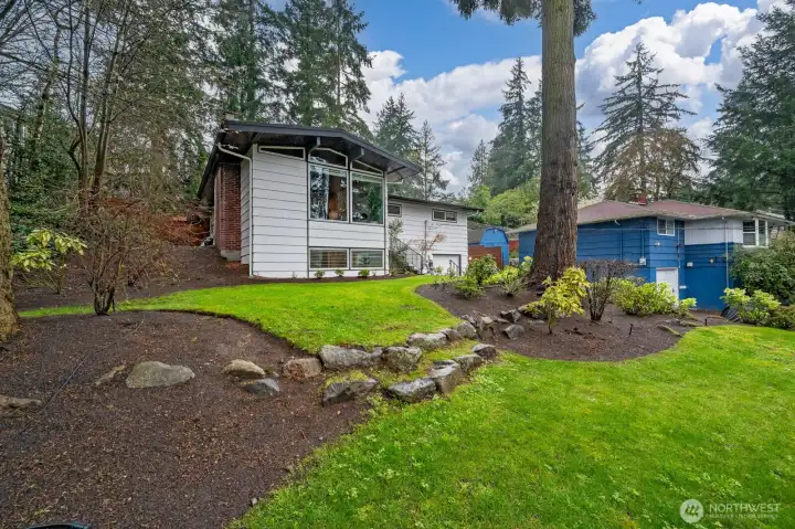 Side yard