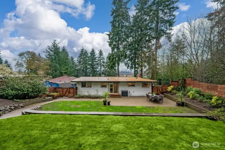 Backyard full