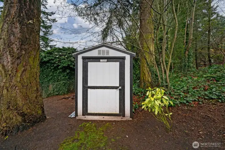 Storage Shed