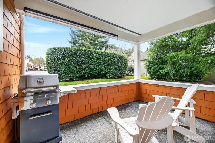 Large Patio/Deck - BBQ included!