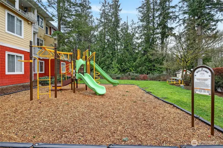Community Playground