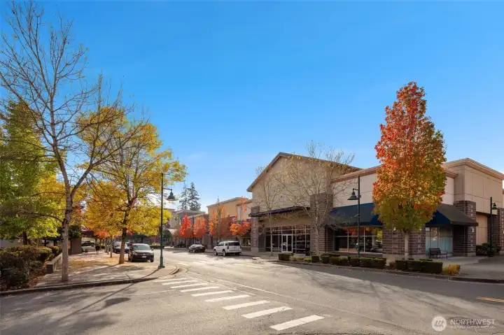 Mill Creek Town Center