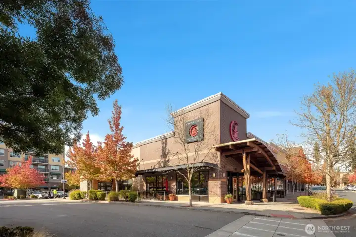 Mill Creek Town Center