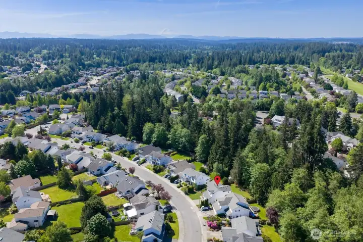 Best of Silver Firs - quiet street on greenbelt