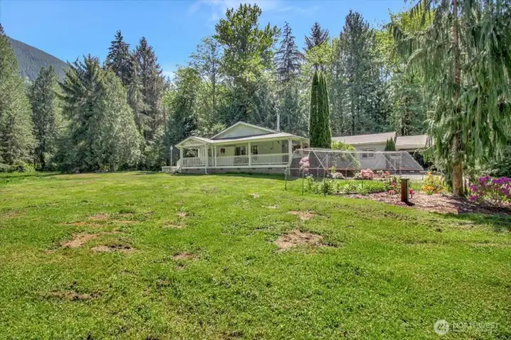 Front yard