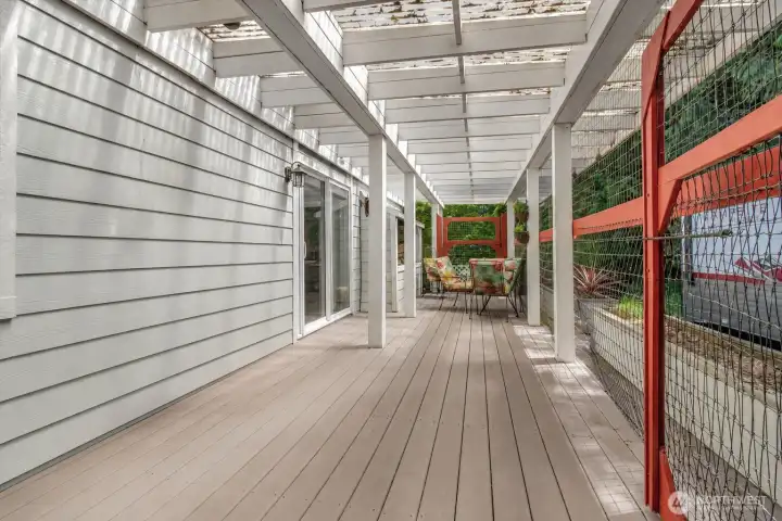 Back Patio