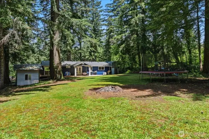 Backyard
