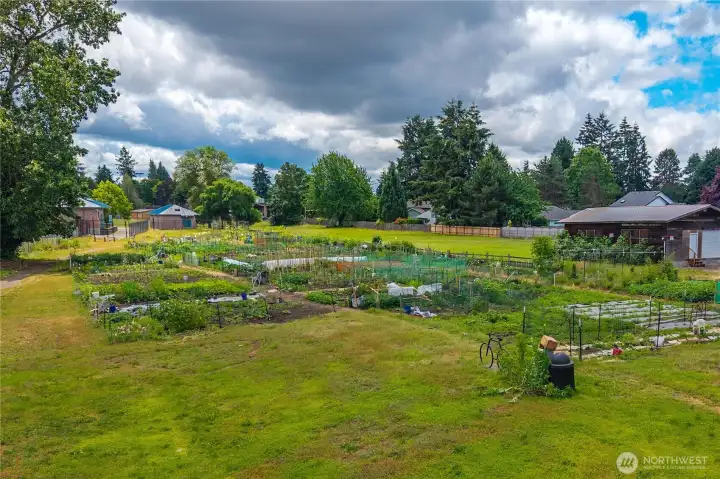 Community Garden A