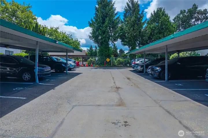 Convenient Carport parking