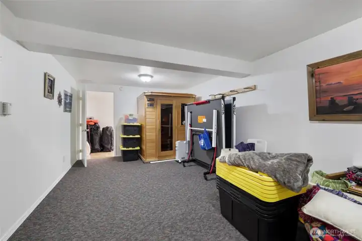 Rec room with sauna - lower level Rec room with sauna - lower level