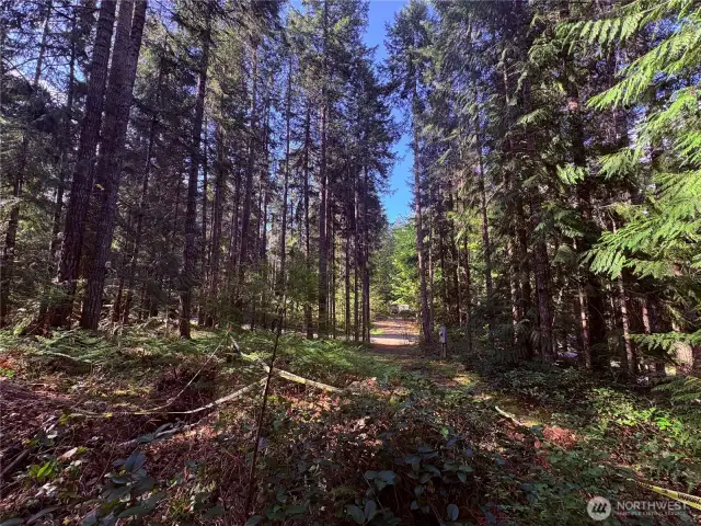 View from back of the property