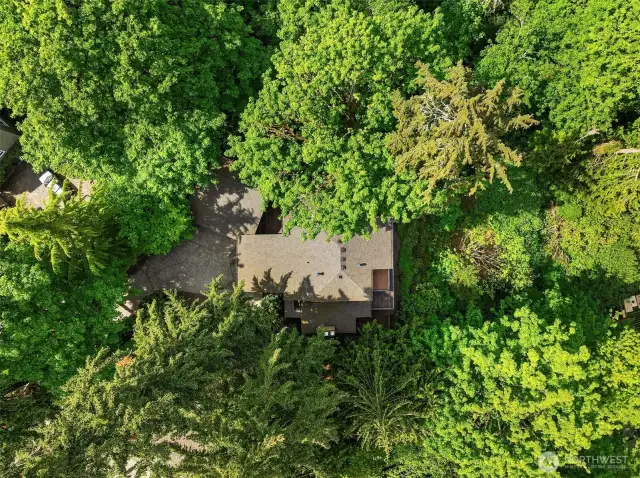 A backdrop of mature trees provides a sense of seclusion & privacy.