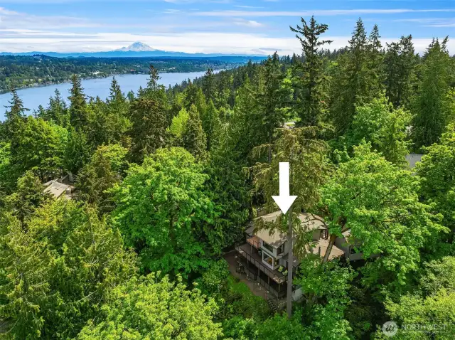 A hidden sanctuary at Mercer Island's desirable North End.