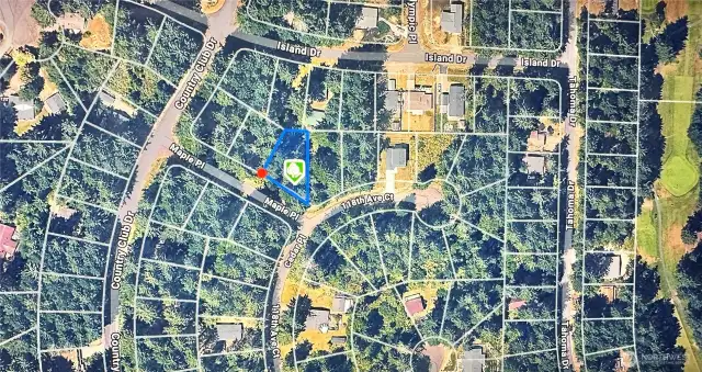 Satellite view