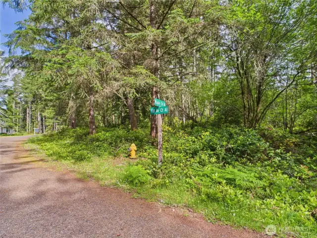 Maple Dr and 118th Ave Ct (Dead end street) - right at the corner far east - makes this secluded and equipped with Fire hydrant for emergencies