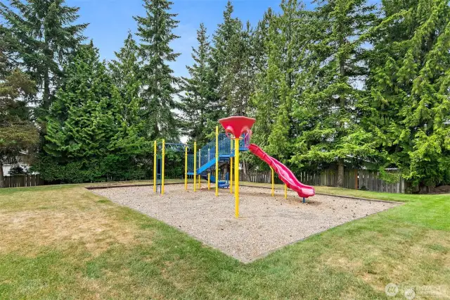 Community park