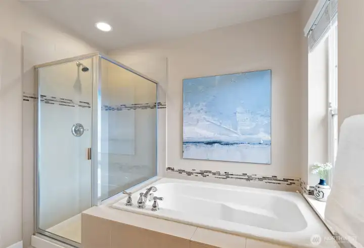 Master Bathroom Tub & Shower