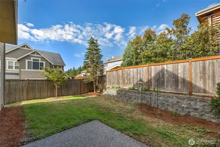 Nice backyard