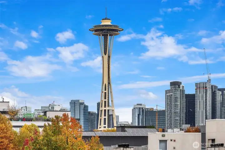 Space Needle in perfect view!