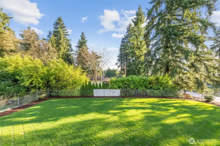 Backyard View from Deck