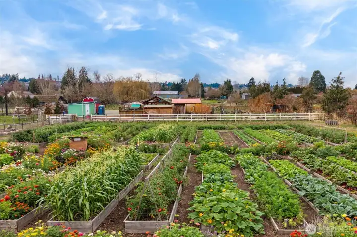 Virbrant garden - great opportunity to continue the great gardening throughout the property.