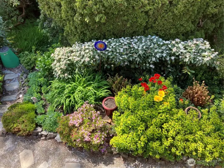 A lush garden filled with rotating blooms.